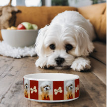 Malshi Hund Bowl med Bone Maroon