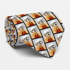 Malshi Hund Kakel Halsduk Slips