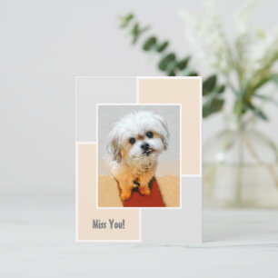 Malshi Hund Saknar Dig Postkort Vykort