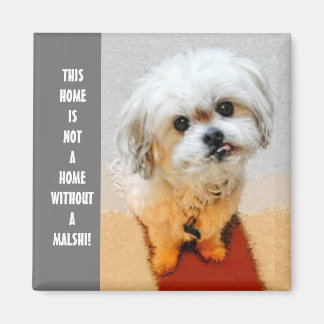 Malshi Magnet med text