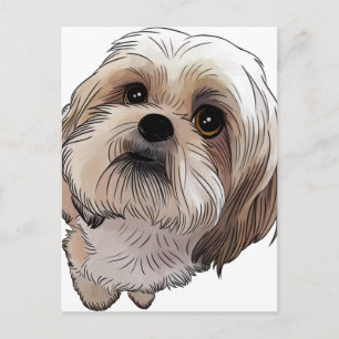 Malshi Mal-shi Vykort