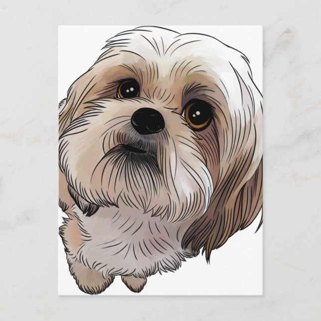 Malshi Mal-shi Vykort (Framsida)