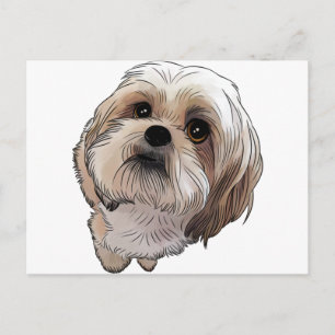 Malshi Mal-shi Vykort