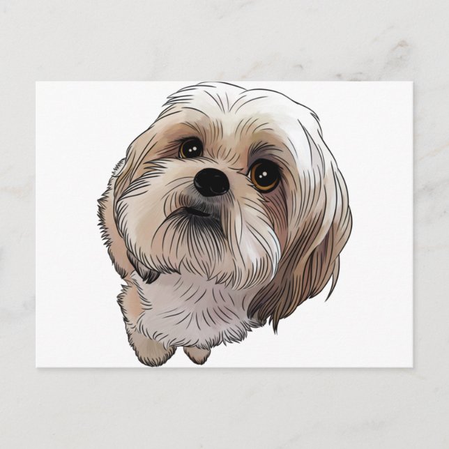 Malshi Mal-shi Vykort (Framsida)