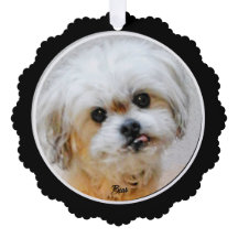 Malshi Pappert dekorkort