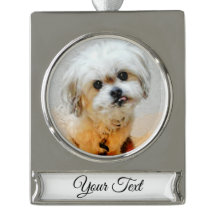 Malshi Silver Tone Julbanner Ornament