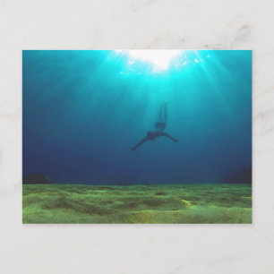Malta Snorkeling Vykort