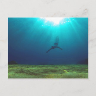 Malta Snorkeling Vykort