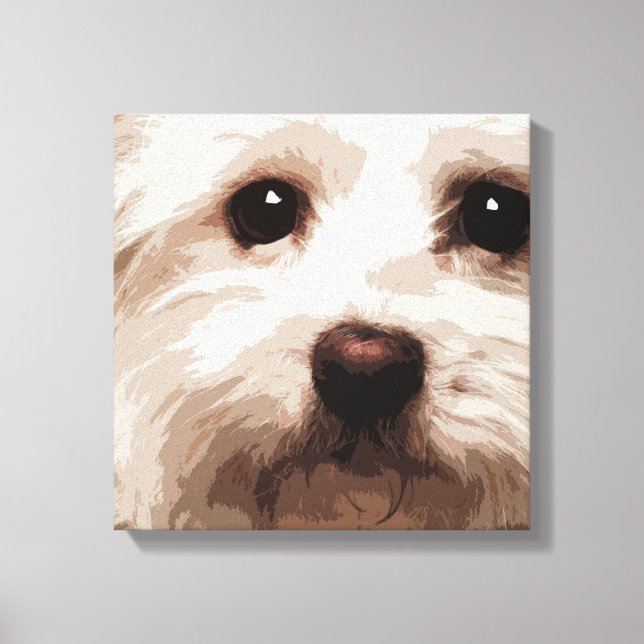 MALTESE CANVASTRYCK (Framsida)