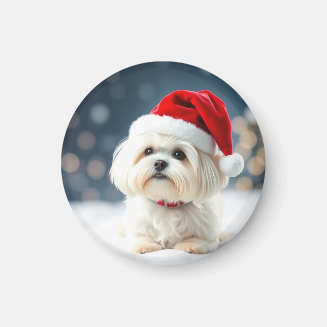 Maltese Christmas Maltese Magnet (Framsidan)