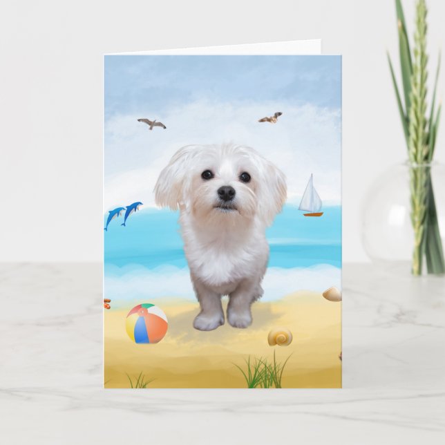 Maltese Hund på Beach Kort (Framsida)