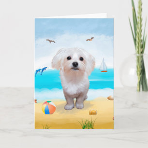Maltese Hund på Beach Kort