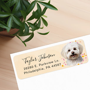 Maltese Hund Returadressetikett Returadress Etikett