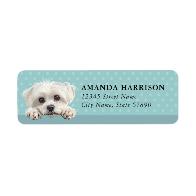 Maltese Hund Returadressetiketter Returadress Etikett (Framsidan)