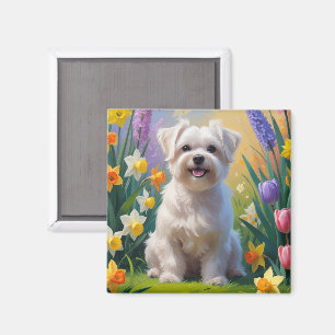 Maltese Hund Vårblommor Målning Magnet