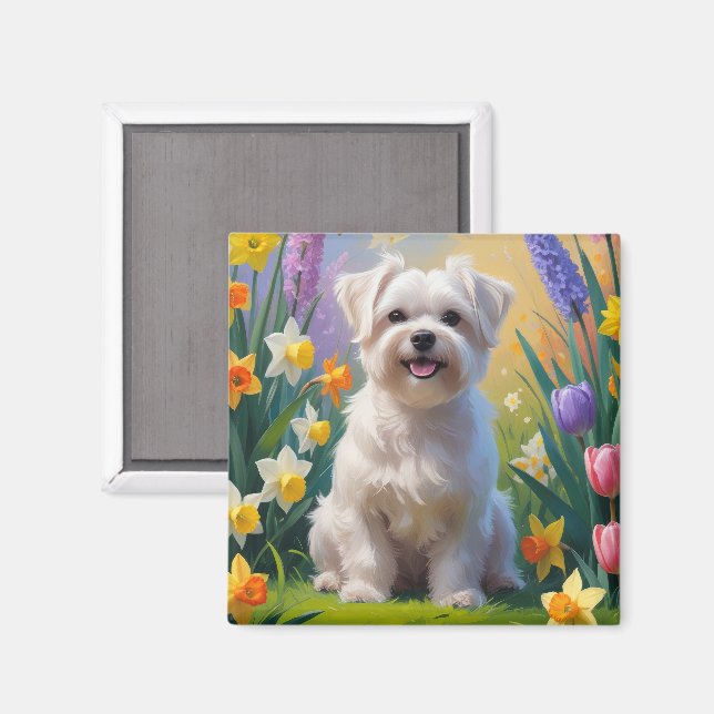 Maltese Hund Vårblommor Målning Magnet (Front/Back)