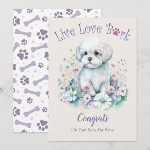 Maltese hundadoption, Gotcha-dagen Kort