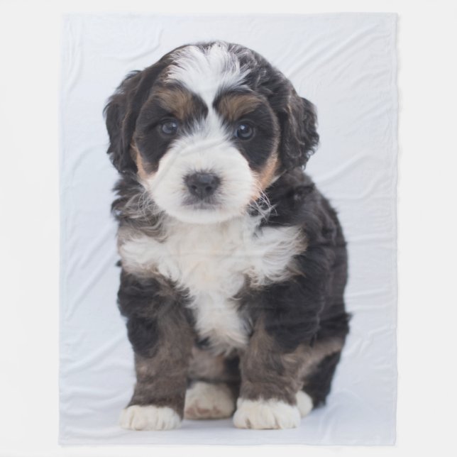 MALTESE PUPPY FLEECEFILT (Framsidan)