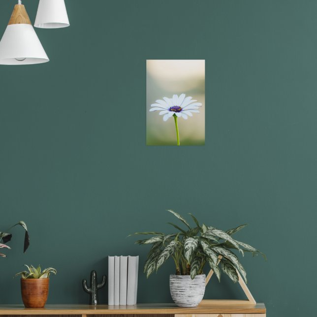 🌼 Maltese Serenity Poster (Vardagsrum 1)