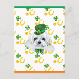 Maltese Shamrock St. Patricks Day Helg Vykort
