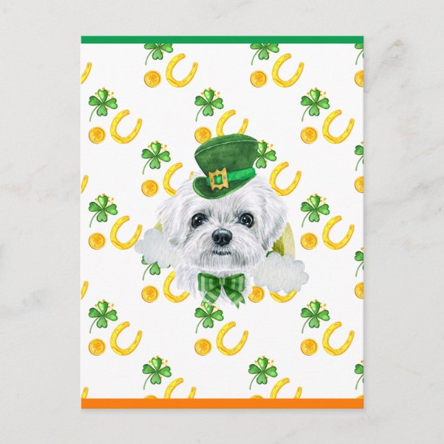 Maltese Shamrock St. Patricks Day Helg Vykort (Framsida)