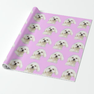 #Maltese vitvalp Presentpapper