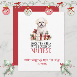 Maltese Whimsical Christmas | Julkort