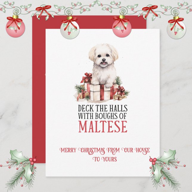 Maltese Whimsical Christmas | Julkort (Skapare uppladdad)