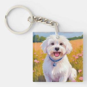 Malteser Hund Blomster Fält Husdjur Målning