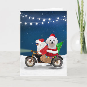 Malteser Hund Jul Tomte Kort