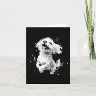 Malteser Hund Leksak Hund Älskare Kort
