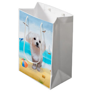 Malteser Hund på Strand