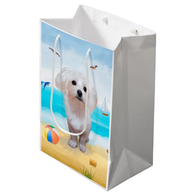Malteser Hund på Strand (Framsidan Vinklad)
