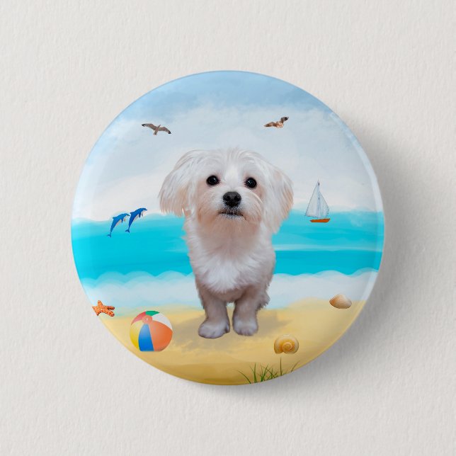 Malteser Hund på Strand Knapp (Framsida)