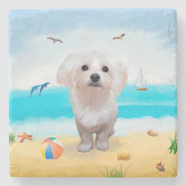 Malteser Hund på Strand Stenunderlägg (Framsidan)
