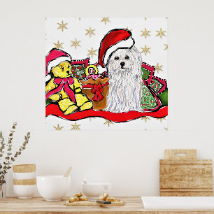 Malteser Hund Poster