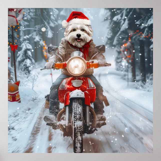 Malteser Hund som kör Motorcykel Jul Poster (Framsidan)