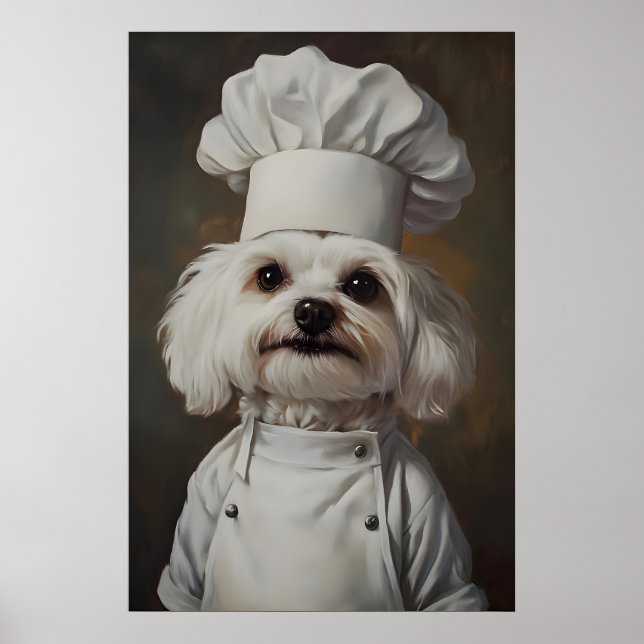 Malteser i kockhatt Affisch, Husdjur Affisch, Malt Poster (Framsidan)