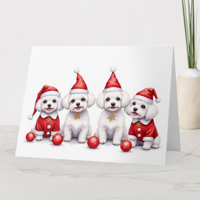 Malteser julklänning Santa hatt Kort (Framsida)