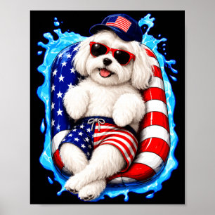 Malteser med solglasögon patriotisk hund sommar po poster