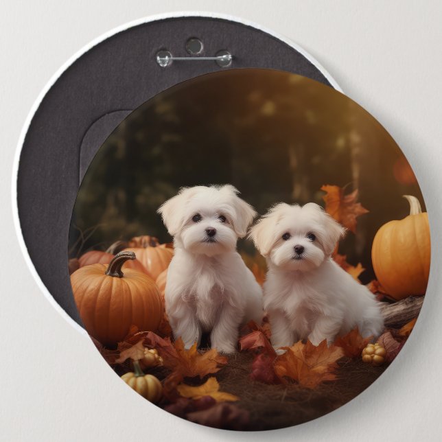 Malteser Valp Autumn Delight Pumpkin Knapp (Framsida & baksida)