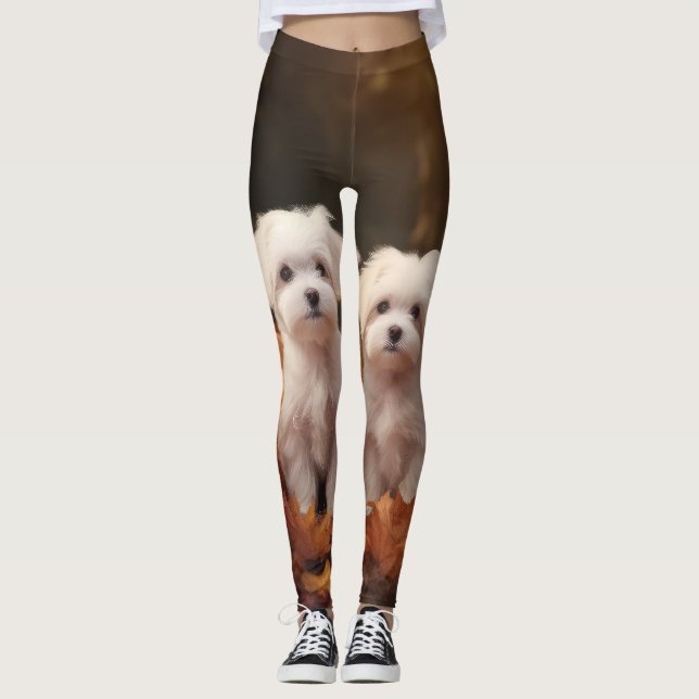 Malteser Valp Autumn Delight Pumpkin Leggings (Framsida)