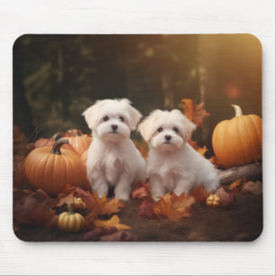 Malteser Valp Autumn Delight Pumpkin Musmatta