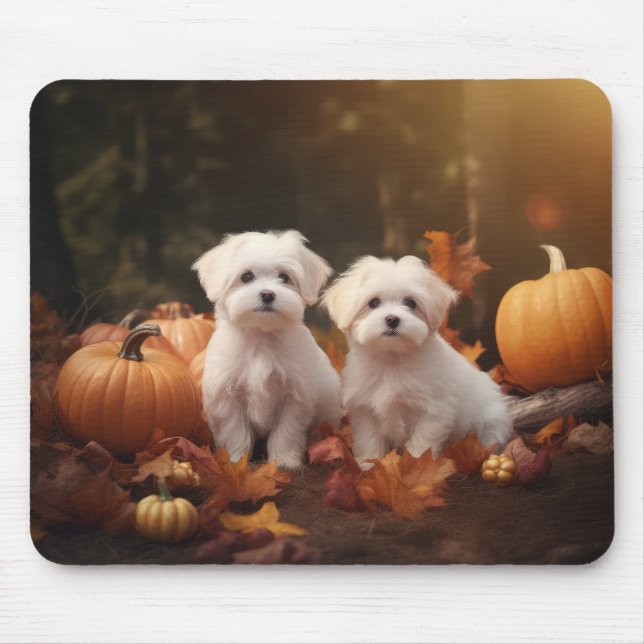 Malteser Valp Autumn Delight Pumpkin Musmatta (Framsidan)