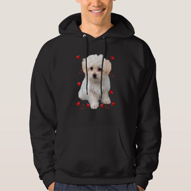 Malteser Valp Hjärtan Hoodie (Framsida)