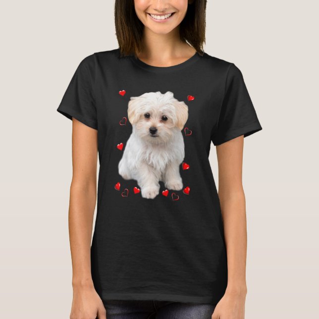 Malteser Valp Hjärtan T Shirt (Framsida)