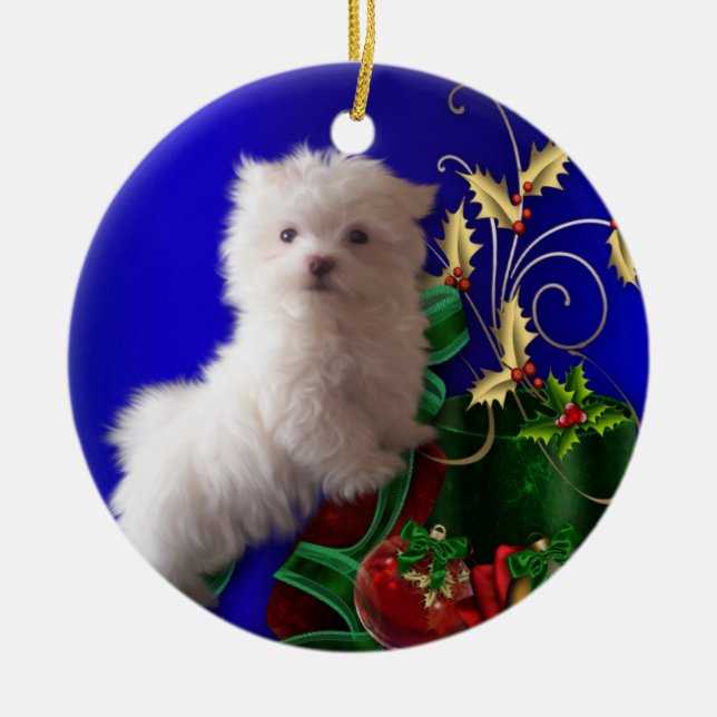 Malteser Valp Hund Prydnad Julgransprydnad Keramik (Framsidan)