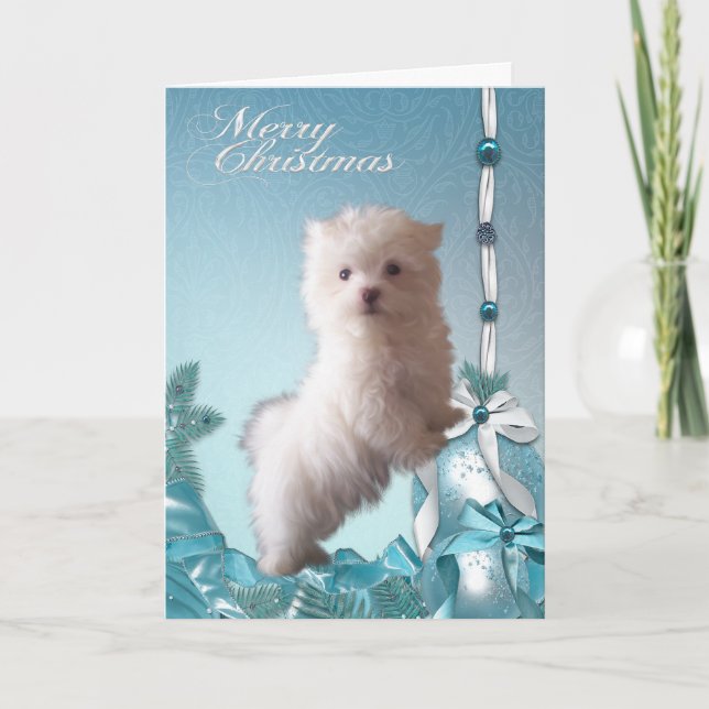 Malteser Valp Jul Helgkort (Framsida)