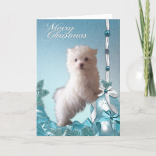 Malteser Valp Jul Helgkort