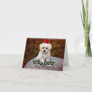 Malteser Valp Jul Kort